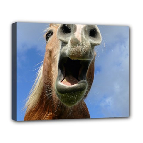 Haflinger  Deluxe Canvas 20  X 16  (framed) by Siebenhuehner
