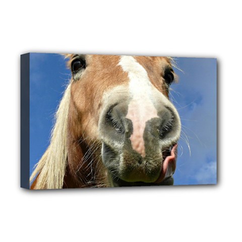 Haflinger  Deluxe Canvas 18  X 12  (framed) by Siebenhuehner