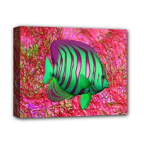 Fish Deluxe Canvas 14  X 11  (framed) by icarusismartdesigns