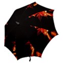 Robert And The Lion Hook Handle Umbrellas (Medium) View2