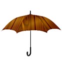 SHINY STRIATED PANEL Hook Handle Umbrellas (Small) View3