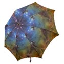 EAGLE NEBULA Hook Handle Umbrellas (Medium) View2