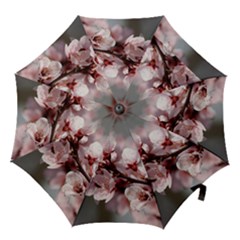 Plum Blossoms Hook Handle Umbrellas (small) by trendistuff