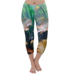 Marine Life Capri Winter Leggings  by trendistuff
