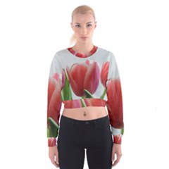 Red Tulips Women s Cropped Sweatshirt by picsaspassion