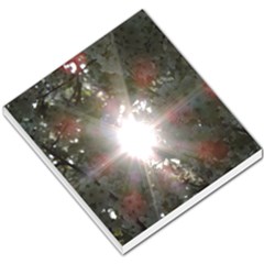 Sun Rays Through White Cherry Blossoms Small Memo Pads by picsaspassion