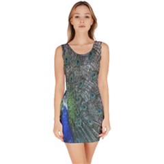 Peacock Four Spot Feather Bird Sleeveless Bodycon Dress by Nexatart