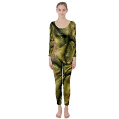 Pineapple Fruit Close Up Macro Long Sleeve Catsuit by Nexatart
