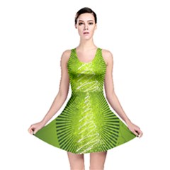 Vector Chirstmas Tree Design Reversible Skater Dress by Nexatart