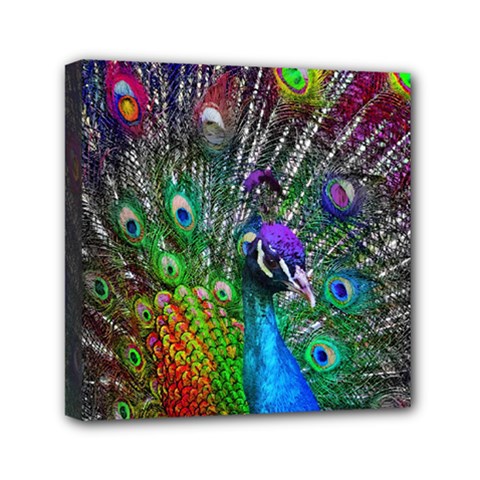 3d Peacock Pattern Mini Canvas 6  X 6  by Amaryn4rt