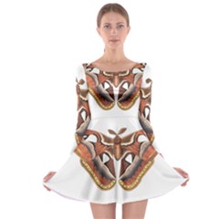 Butterfly Animal Insect Isolated Long Sleeve Skater Dress by Simbadda