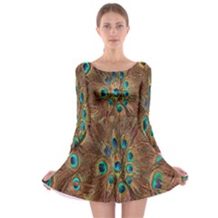Peacock Pattern Background Long Sleeve Skater Dress by Simbadda