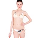Ragdoll Cat for Life Bikini Set View3