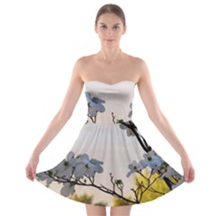 Morning Promise Strapless Bra Top Dress by oddzodd