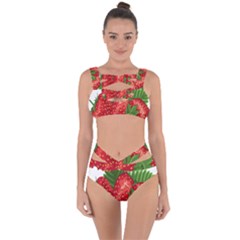 Strawberry Red Seed Leaf Green Bandaged Up Bikini Set  by Mariart
