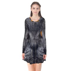 Cat Eyes Background Image Hypnosis Flare Dress by BangZart