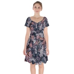 Leaf Leaves Autumn Fall Brown Short Sleeve Bardot Dress by BangZart