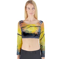 Soul Offering Long Sleeve Crop Top by Dimkad