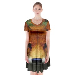 Fox Short Sleeve V-neck Flare Dress by BangZart