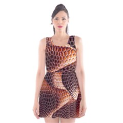 Snake Python Skin Pattern Scoop Neck Skater Dress by BangZart