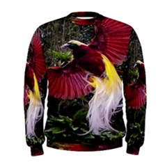 Cendrawasih Beautiful Bird Of Paradise Men s Sweatshirt by BangZart