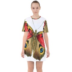 Butterfly Bright Vintage Drawing Mini Dress by Nexatart