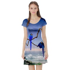 Wonderful Blue  Parrot Looking To The Ocean Short Sleeve Skater Dress by FantasyWorld7