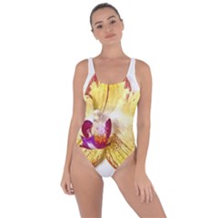 Yellow Phalaenopsis Flower, Floral Aquarel Watercolor Painting Art Bring Sexy Back Swimsuit by picsaspassion