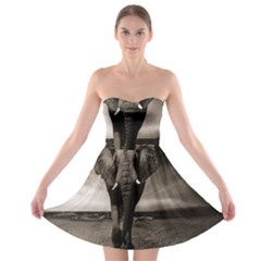 Elephant Black And White Animal Strapless Bra Top Dress by Celenk