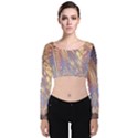 Flourish Artwork Fractal Expanding Velvet Long Sleeve Crop Top View1