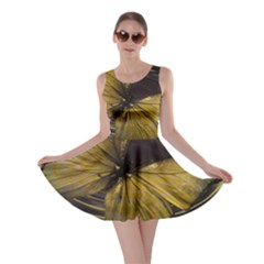 Butterfly Insect Wave Concentric Skater Dress by Celenk