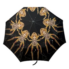 Insect Macro Spider Colombia Folding Umbrellas by BangZart