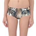 Tiger Bengal Stripes Eyes Close Mid-Waist Bikini Bottoms View1