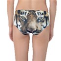 Tiger Bengal Stripes Eyes Close Mid-Waist Bikini Bottoms View2
