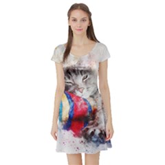 Cat Kitty Animal Art Abstract Short Sleeve Skater Dress by Celenk