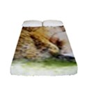 Bear Baby Sitting Art Abstract Fitted Sheet (Full/ Double Size) View1
