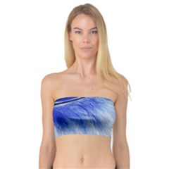 Spring Blue Colored Bandeau Top by Celenk