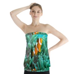 Clownfish 3 Strapless Top by trendistuff