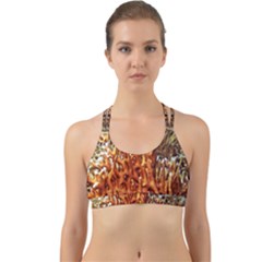 Fire Coral 1 Back Web Sports Bra by trendistuff