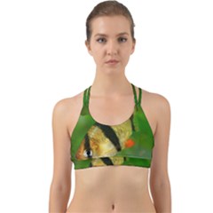 Tiger Barb Back Web Sports Bra by trendistuff