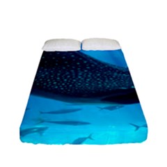 Whale Shark 2 Fitted Sheet (full/ Double Size) by trendistuff