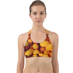 Kumquat 1 Back Web Sports Bra by trendistuff