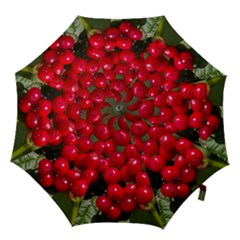 Red Berries 2 Hook Handle Umbrellas (large) by trendistuff