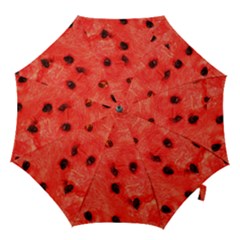 Watermelon 3 Hook Handle Umbrellas (large) by trendistuff