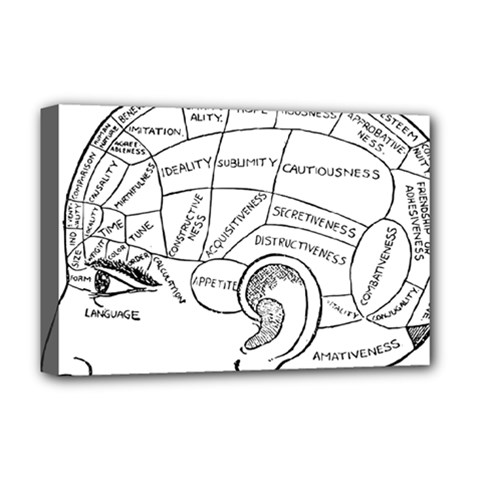Brain Chart Diagram Face Fringe Deluxe Canvas 18  X 12   by Nexatart