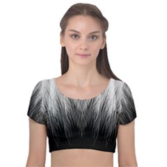 Feather Graphic Design Background Velvet Short Sleeve Crop Top  by Sapixe