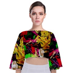 Spooky Attick 1 Tie Back Butterfly Sleeve Chiffon Top by bestdesignintheworld