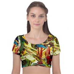 In A Mountains - State Washingtone Velvet Short Sleeve Crop Top  by bestdesignintheworld