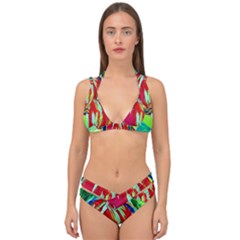 Dscf1458 - Fruits Geometry Double Strap Halter Bikini Set by bestdesignintheworld