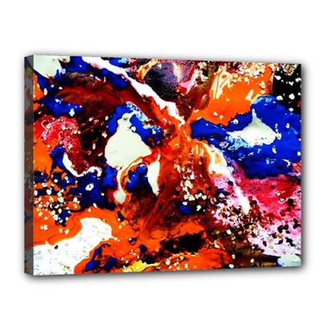 Smashed Butterfly 1 Canvas 16  X 12  by bestdesignintheworld